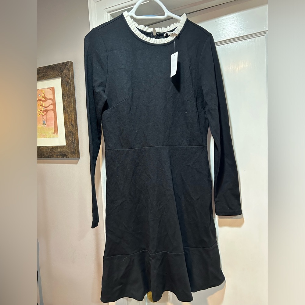 NWT Loft Dress